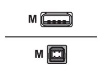 Equip - USB-Kabel - USB (M) zu USB Typ B (M) - USB 2.0 - 1.8 m - Schwarz