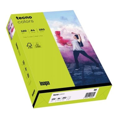 inapa tecno Kopierpapier Colors 2100011351 A4 120g leu.grün 250Bl.