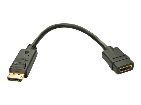 Lindy - Video- / Audio-Adapter - DisplayPort (M) bis HDMI (W) - 0.15 m - Schwarz